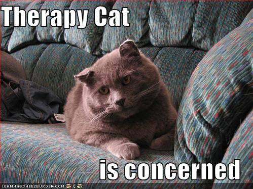 cat psychiatrist